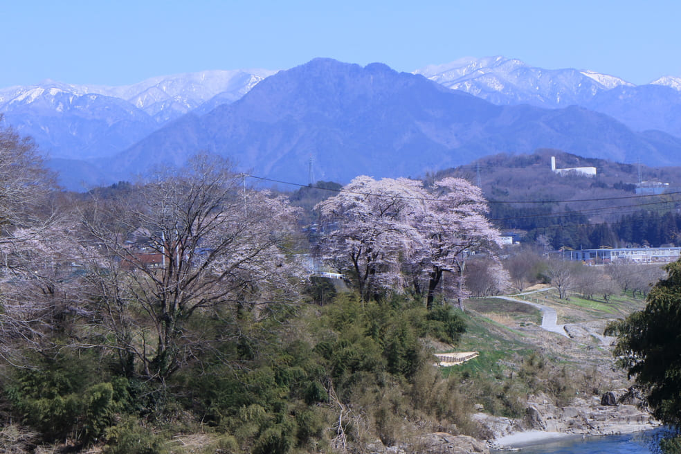 春のかざこし山