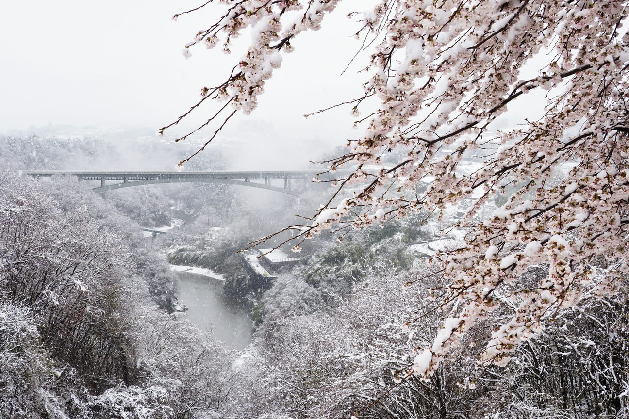春雪に霞む天龍峡大橋そらさんぽ